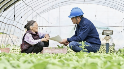 Reliable Power Supply Ensures Smooth Spring Irrigation and Supports Planting Season