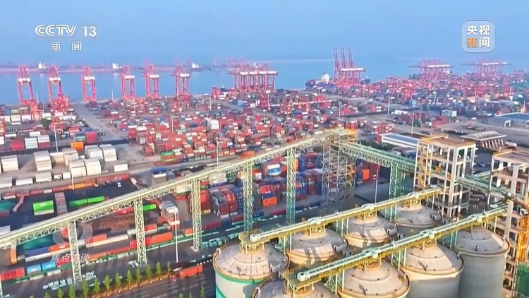 焦点访谈丨“朋友圈”越来越大 “一带一路”下一个金色十年如何共建?