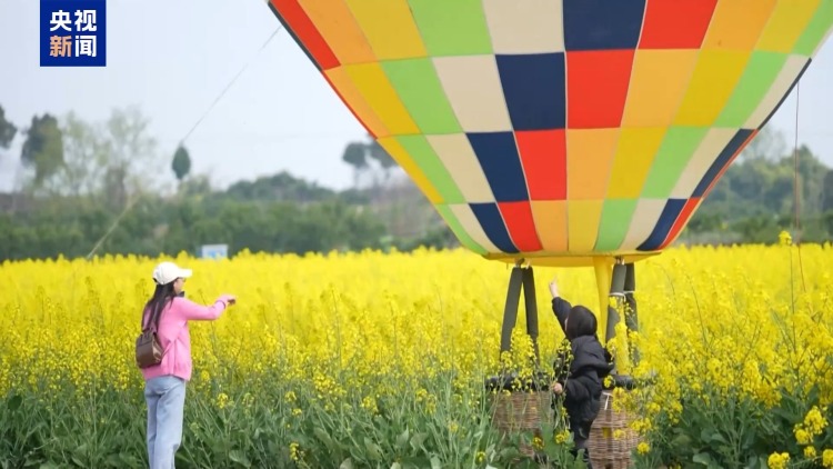 农产品加工业、乡村旅游……一季度乡村产业保持较好发展势头