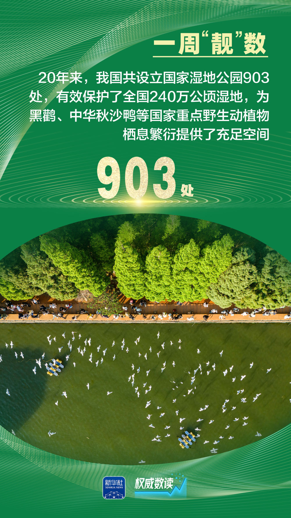 权威数读｜一周“靓”数