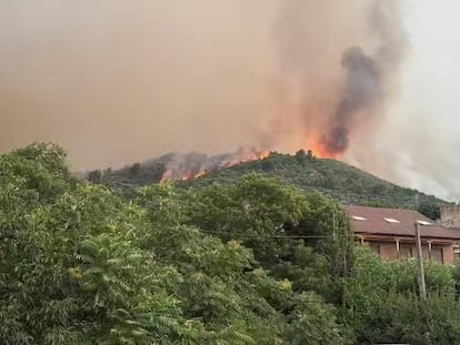 西班牙阿维拉省林火仍在蔓延 已影响约3000公顷土地