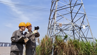 State Grid Wenzhou Power Supply Company: Stands Ready for Typhoon Dolphin and Safeguard Power Supply on the Island