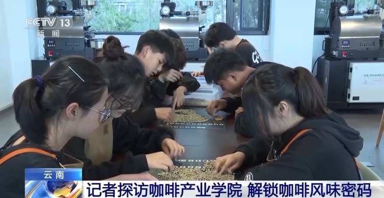 “左手咖啡右手茶” 两张产业名片助力云南经济腾飞