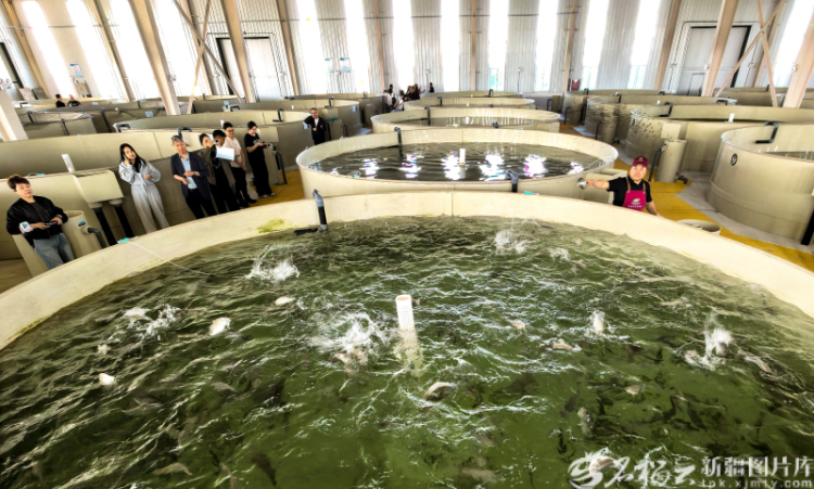 新疆影像7日（222）丨万象争春