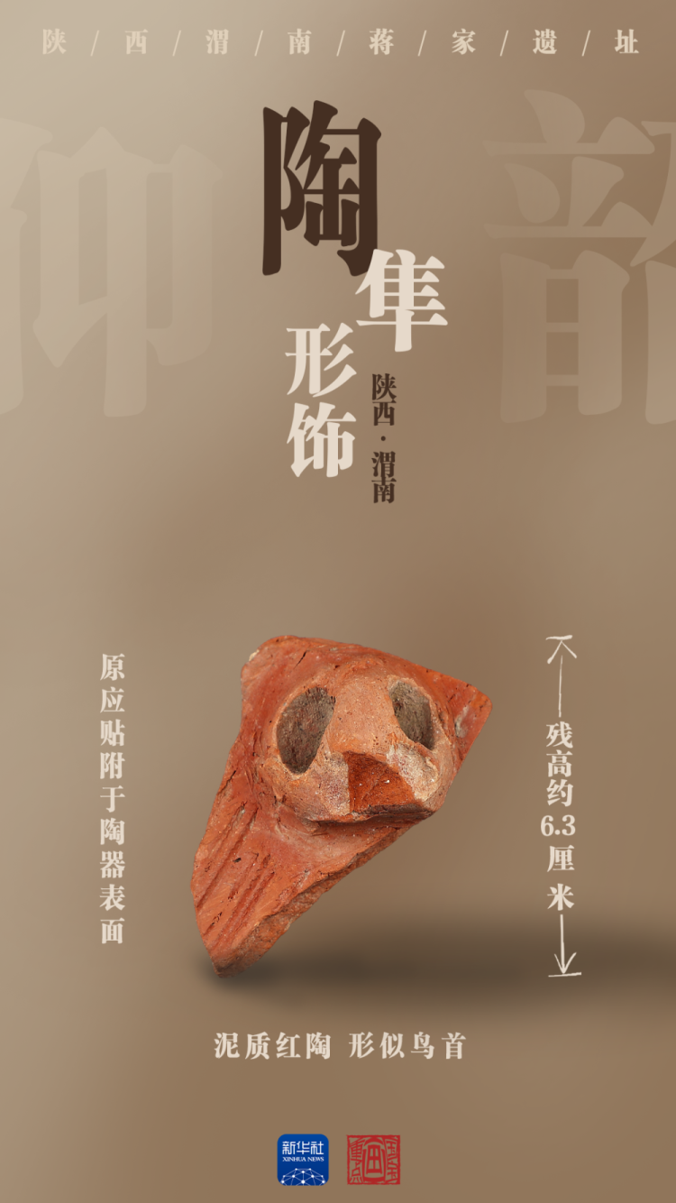 国宝画重点｜陶器上新！陕西蒋家遗址展现史前文明景象_fororder_105012025101900013764