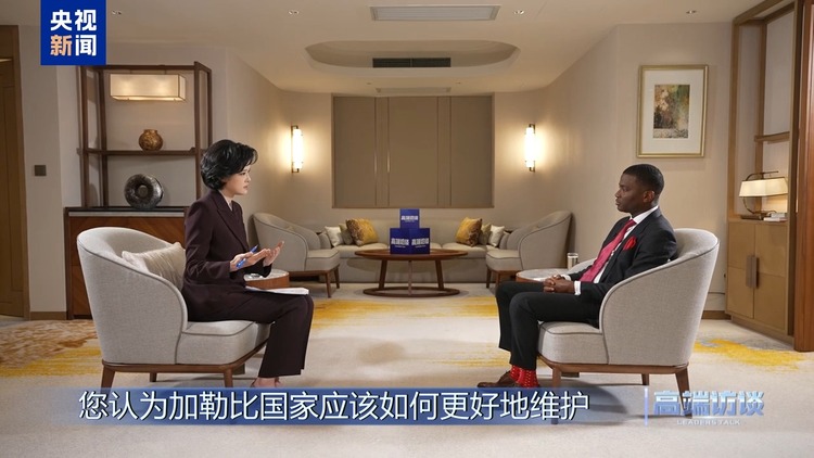 高端访谈丨专访格林纳达总理米切尔