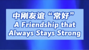 中刚友谊“常好”_fororder_企业微信截图_20260211112826