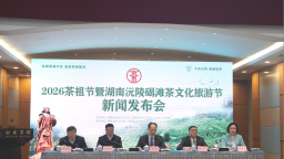 2026茶祖节暨湖南沅陵碣滩茶文化旅游节将于4月28日开幕