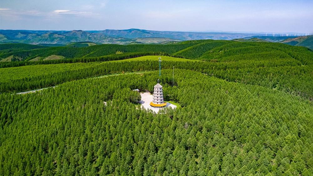 不断增厚我们的“绿色家底”_fororder_1773304405949_227