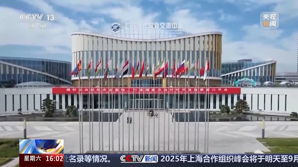 民间友好合作朋友圈扩大 上合组织人文交流合作领域日益广泛