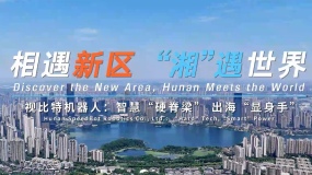相遇新区 “湘”遇世界丨视比特机器人：智慧“硬脊梁” 出海“显身手”