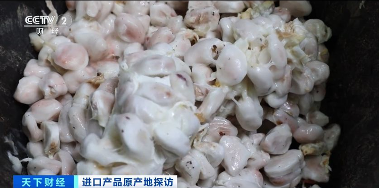 原产地好物直达！“可可大国、香草王国”：我家好物来进博→