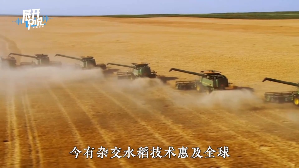 柬埔寨的“稻花香”怎么飘到了中国？