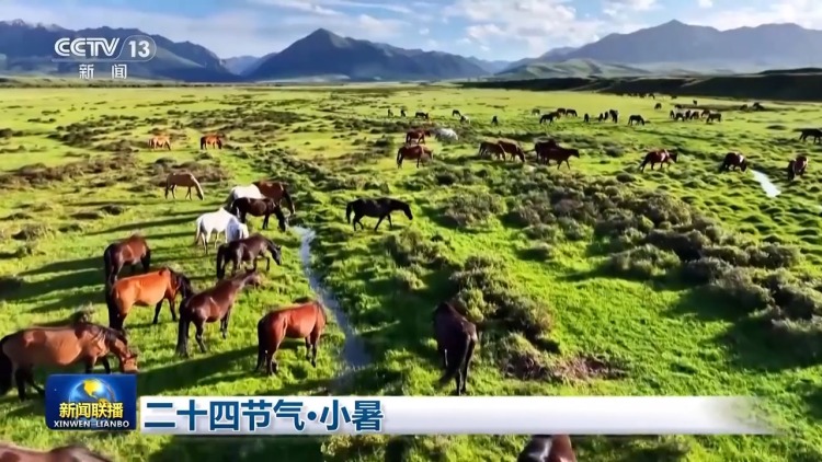 文化中国行丨二十四节气·小暑 感受节气里的自然律动