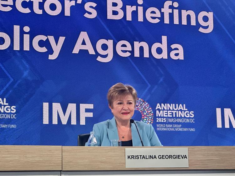 IMF总裁：不确定性成为新常态 各国应增强经济韧性