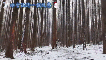 冰雪经济一线观察｜共赴“冰雪之约” 冰雪经济持续升温