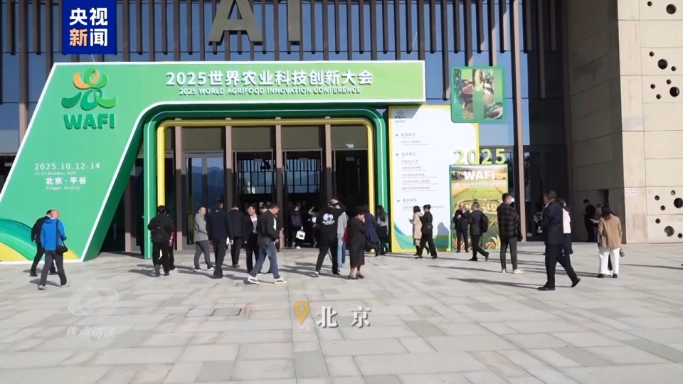 焦点访谈丨筑牢大国粮仓 中国人的饭碗端得更牢更稳