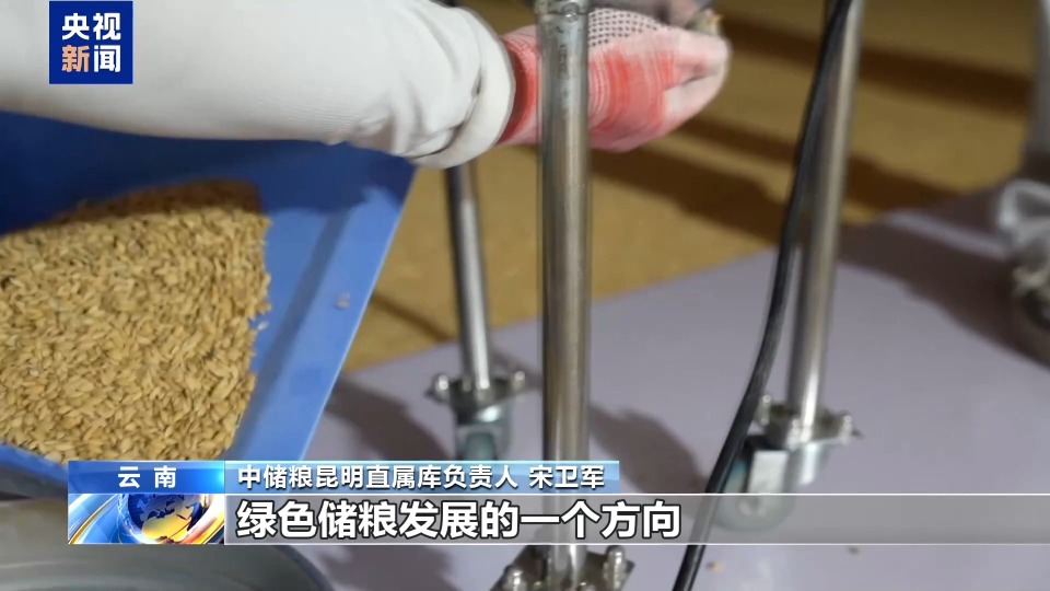 年中经济观察丨粮食住进“好房子” “油瓶子”工厂迎来“数字工友”