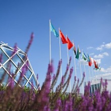 外媒：“中国—中亚精神”为未来发展指明正确方向