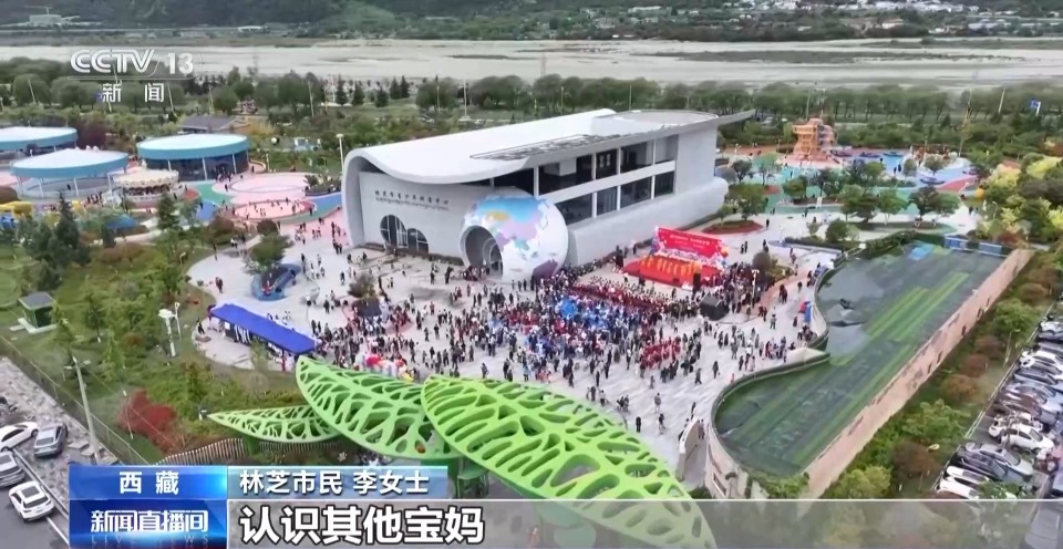 辉煌60载 魅力新西藏丨城市微更新 卫星视角看变化