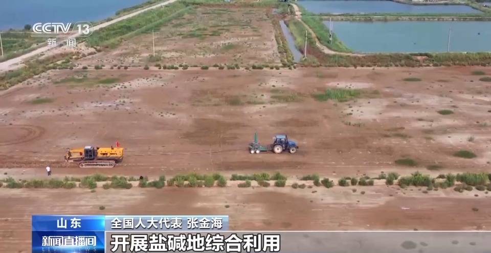 怎样培育耐盐碱经济作物？这位全国人大代表的建议来了