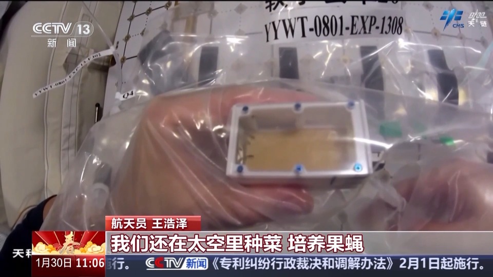 “太空出差”日程过半!神十九乘组工作报告上新了