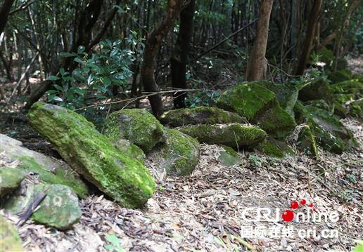 追寻抗战记忆｜影珠山：倭寇未曾留片甲，英魂驻此障长沙_fororder_02