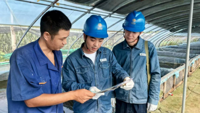 Jiaozuo, Henan: Power Supply Safeguards Aquaculture Industry