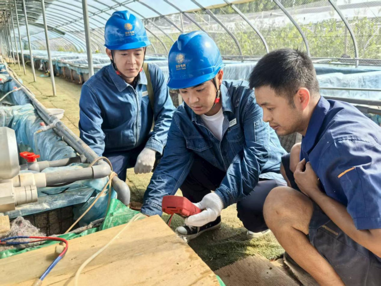 Jiaozuo, Henan: Power Supply Safeguards Aquaculture Industry_fororder_图片1