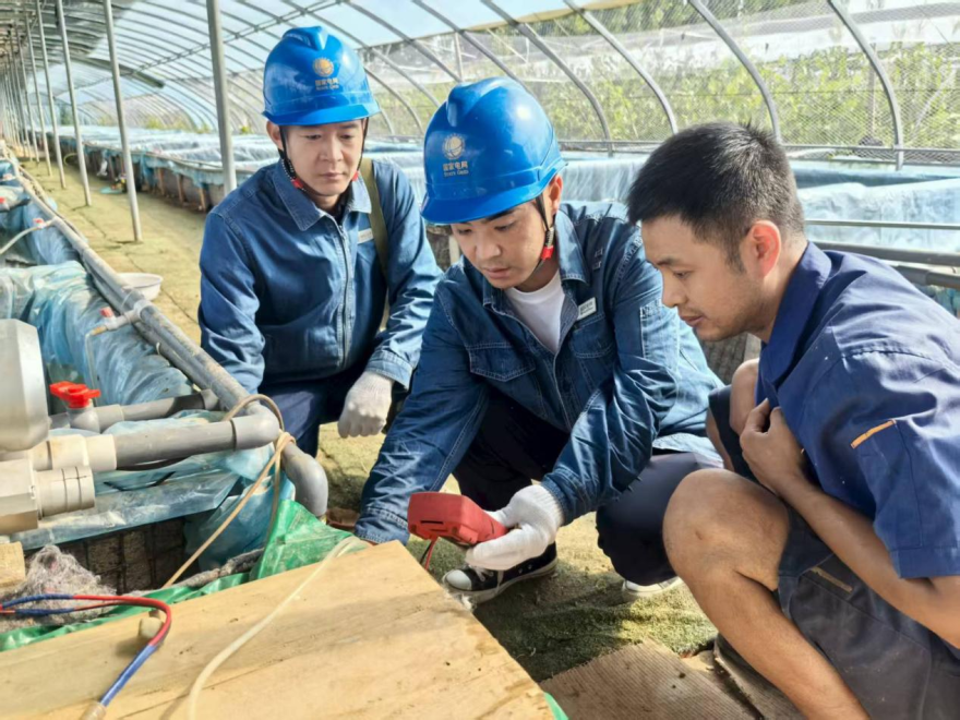 Jiaozuo, Henan: Power Supply Safeguards Aquaculture Industry_fororder_图片1