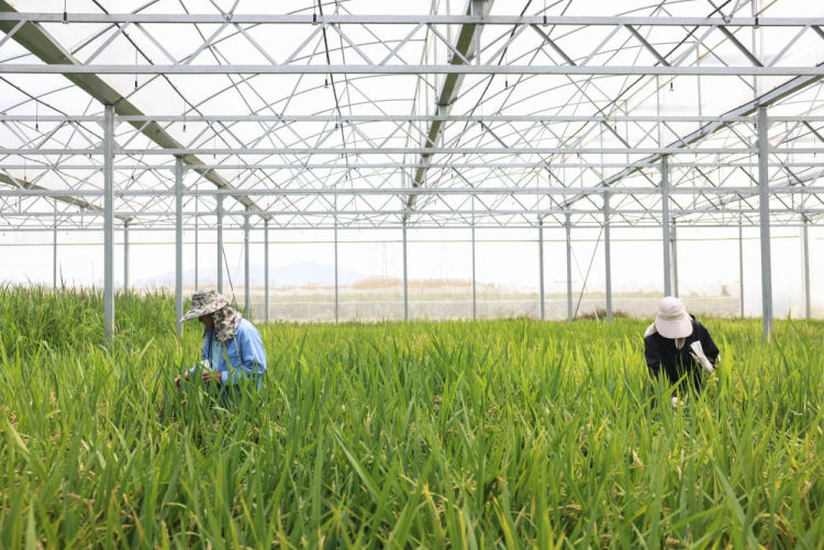 习近平总书记同人大代表、政协委员共商国是纪实_fororder_4