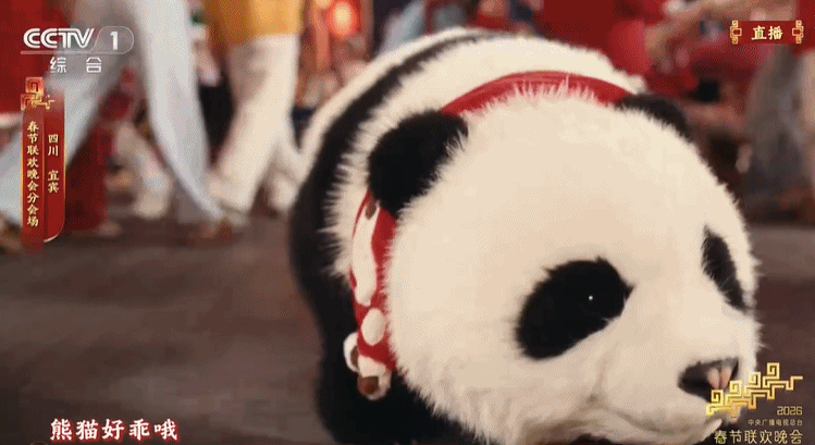 技能大盘点！春晚机器人，还是太全面了