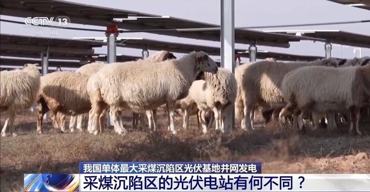 正式并网发电！建在采煤沉陷区的光伏电站有何不同？
