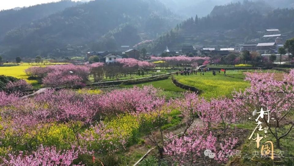 守护文化根脉 大型人文纪录片《村庄里的中国》即将播出