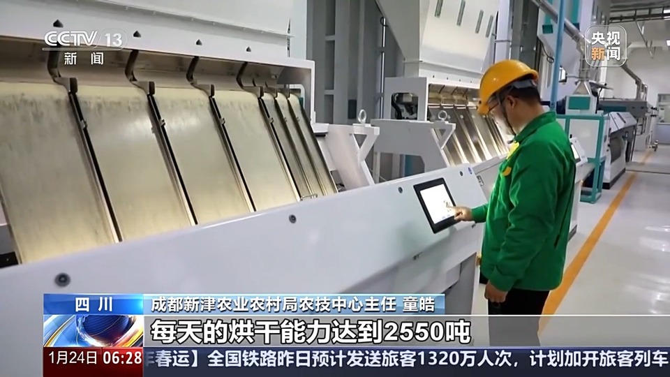 秋粮入仓忙 看科技如何赋能“大国粮仓”