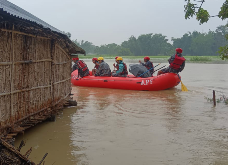 尼泊尔强降雨引发灾情 已致12人死亡