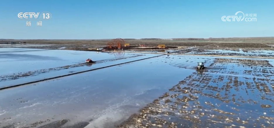 AI模型、“北斗”、物联网……智慧农业成为田间地头新常态