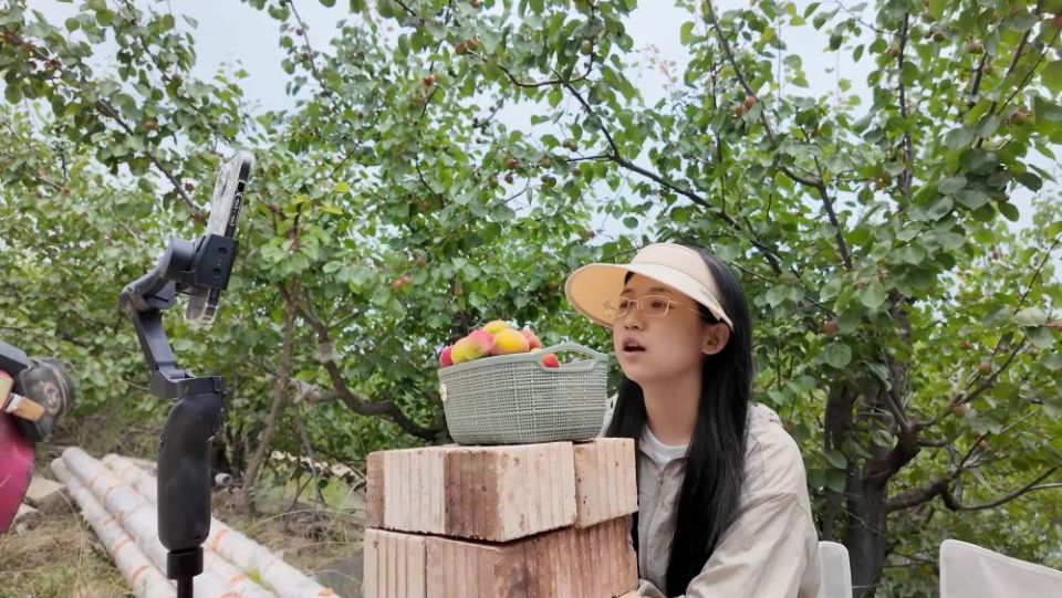 新华视点｜绿色能源·低空经济·田间“速递”——经济新动能一线观察