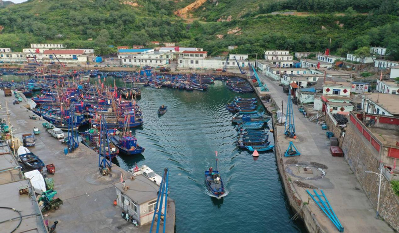 백여 척 어선, 옌타이 창다오서 '첫 그물' 쳤다_fororder_图片4