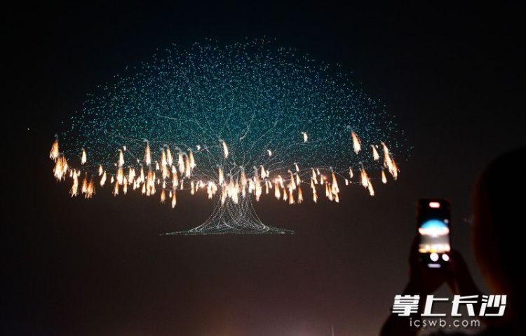 图片默认标题_fororder_3