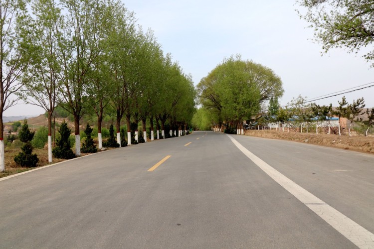 云山镇云土路：“四好公路”绘新景 繁花漫道促振兴_fororder_云山路