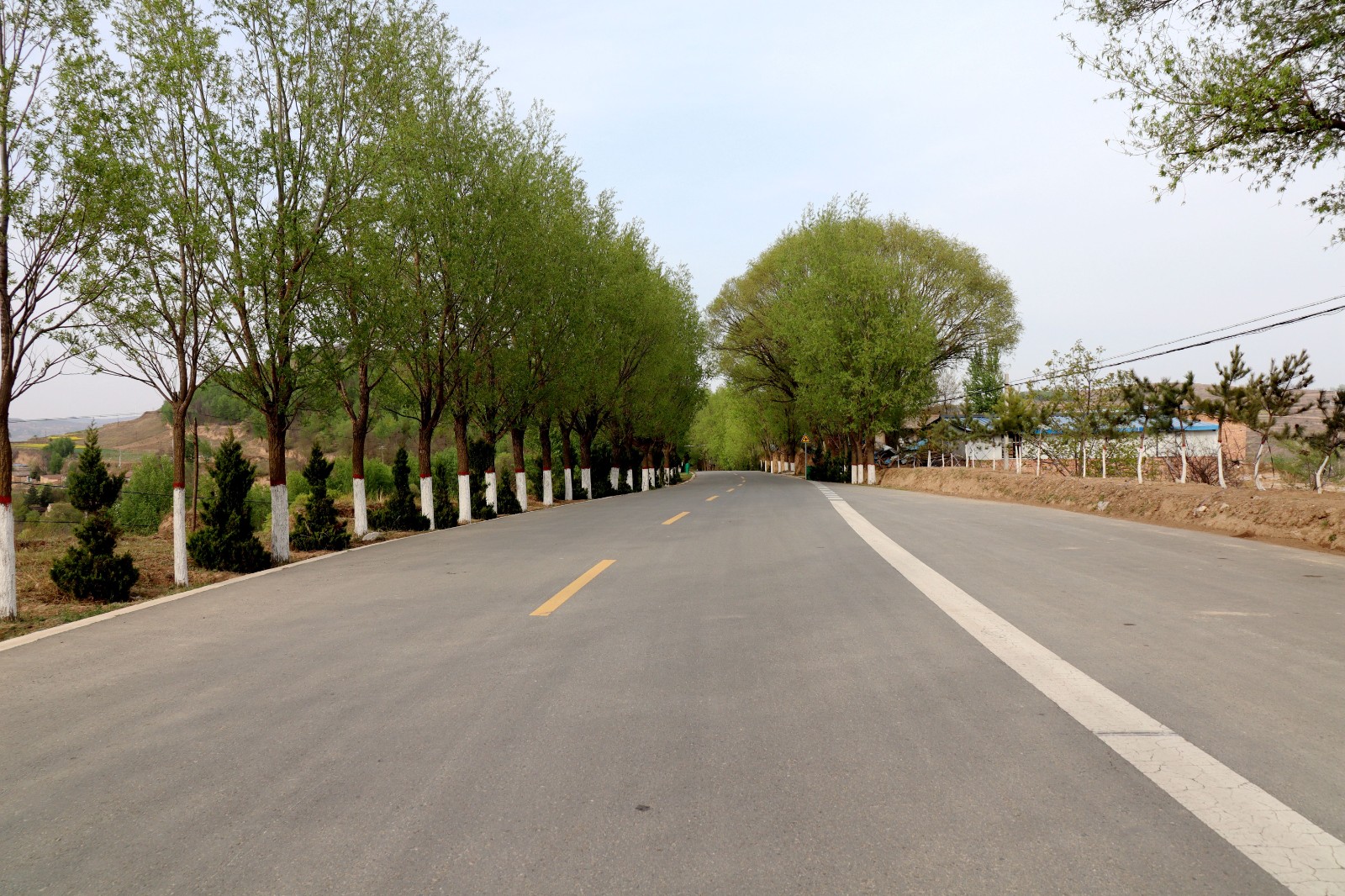 云山镇云土路：“四好公路”绘新景 繁花漫道促振兴_fororder_云山路
