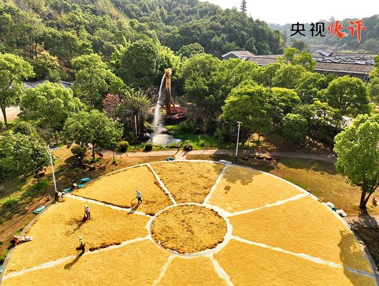 央视快评丨奋力谱写供销合作事业高质量发展新篇章
