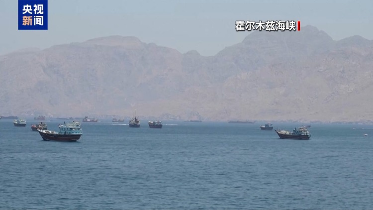 视频丨美称谅解备忘录接近达成 伊称美提议像“愿望清单”