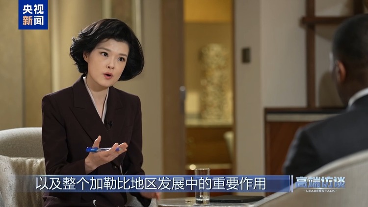 高端访谈丨专访格林纳达总理米切尔