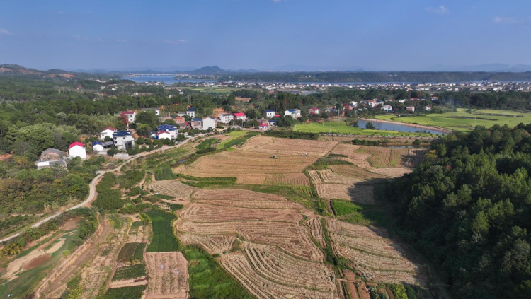 湖南衡山县秸秆打捆离田腾沃土 助力油菜种植_fororder_图片3