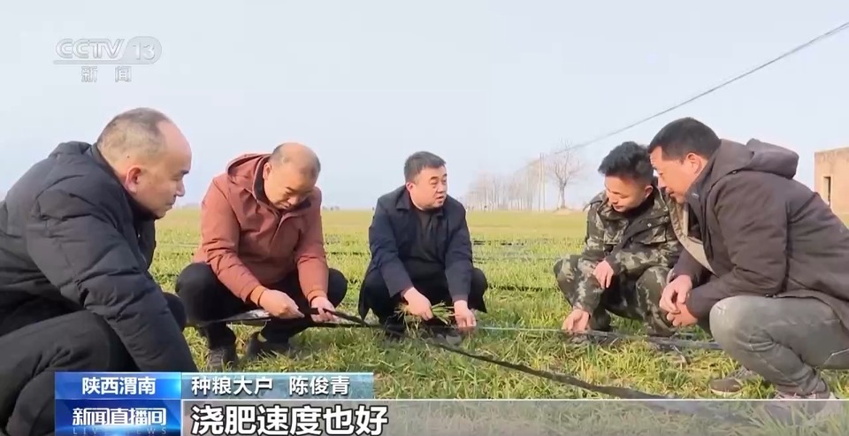 滴灌技术+农技人员指导 关中平原返青期小麦春灌作业积极推进