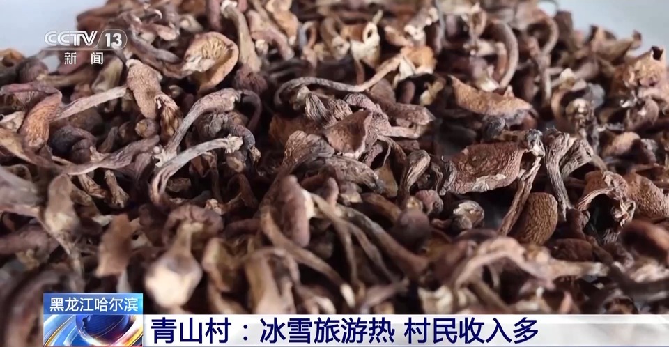 哈尔滨文创产品玩出新花样！亚冬会点燃冰雪旅游热