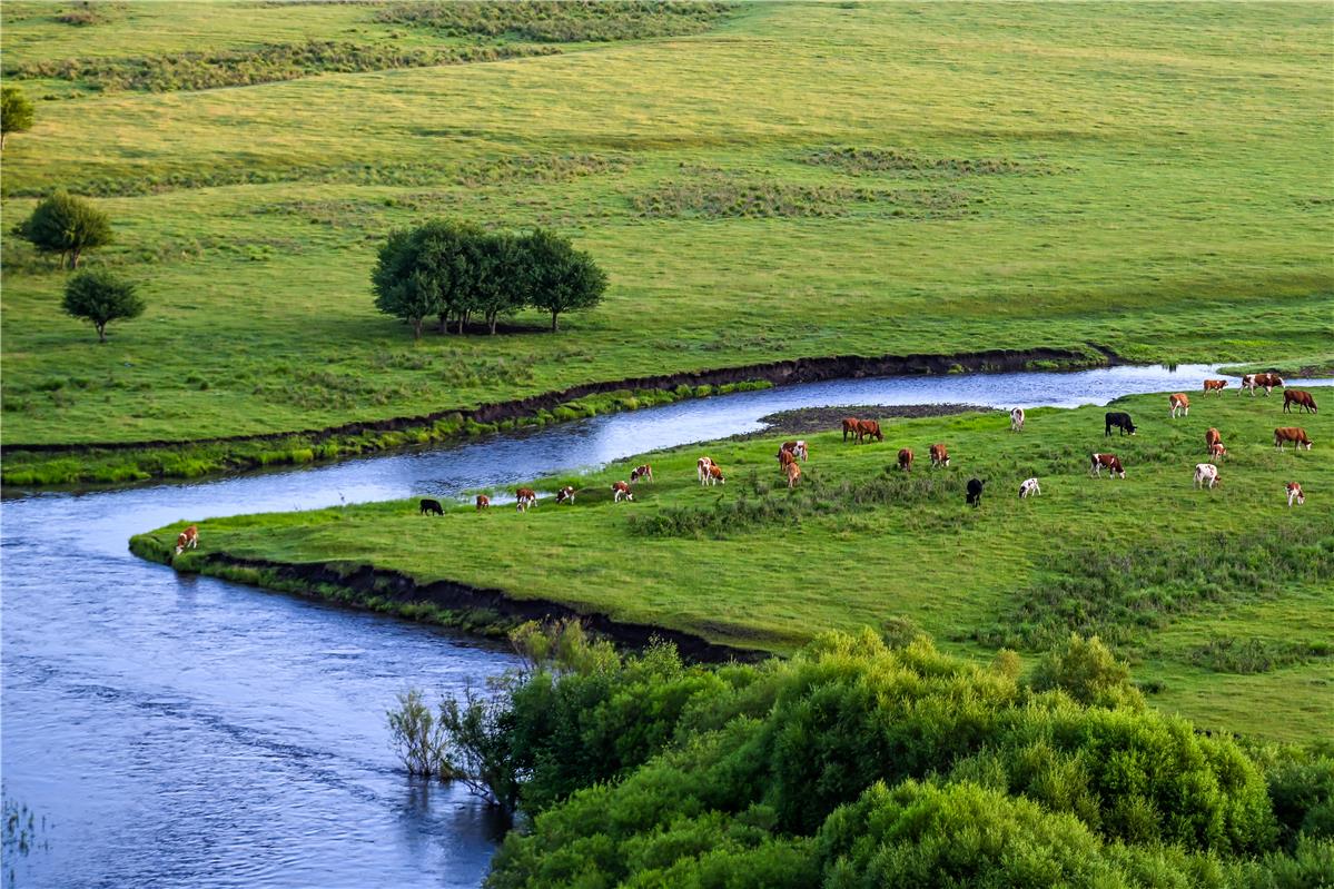 内蒙古牙克石：免渡河国家湿地公园景色如画