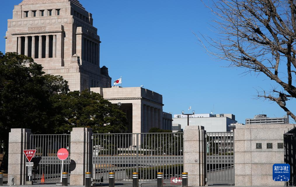 热点问答丨高市早苗为何要提前大选